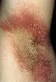  630成都蓉城vs沧州雄狮 